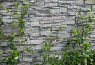 Milsons Pointgreen-walls-4.jpg; ?>